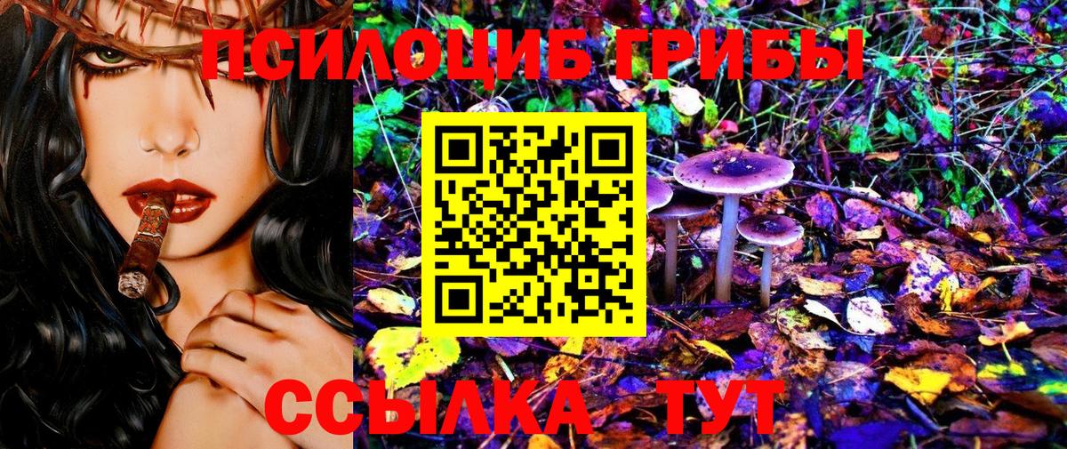 Галлюциногенные грибы мицелий  Вход с VPN  Старая Купавна 